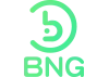 BNG Gaming provider logo - Slot game developer at BMW55